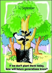 Brochure - clikc on the image to open the document