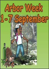 TFP Brochure - clikc on the image to open the document