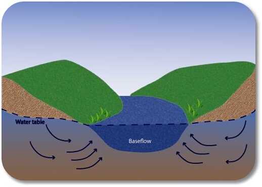 STREAM definition and meaning