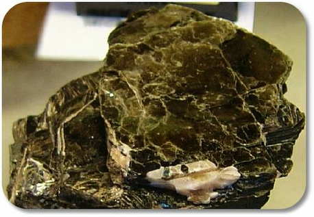 Biotite
