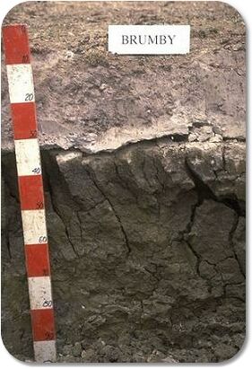 DuplexSoil