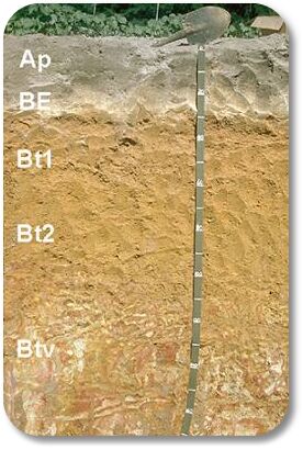 Plinthic Soils