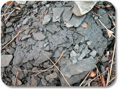 shale