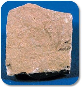 siltstone