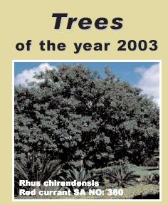 Trees of the year 2003