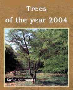 Trees of the year leaflet - click on image to open PDF document