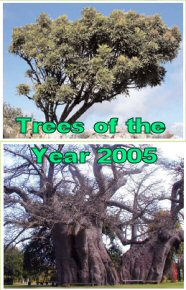 Trees of the year leaflet - click on image to open PDF document