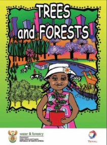 Schools Brochure - click on the image to open the document