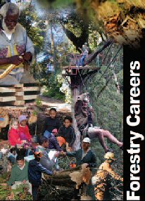 Careers Brochure [click to open the document]