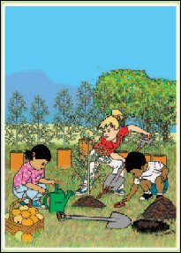 TFP Brochure - clikc on the image to open the document