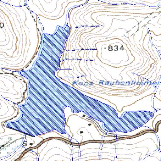 Koos Raubenheimer (reservoir)