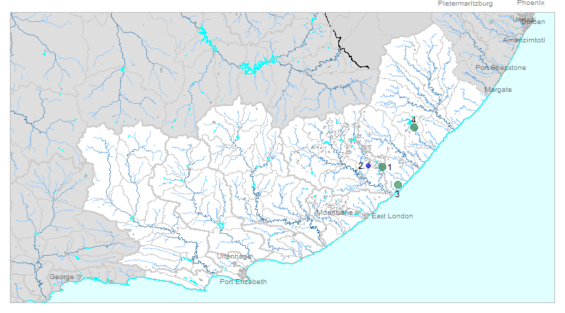 coli_Mzimvubu_Tsitsikamma_NMMP_2013-07-01_2013-08-31_map.png