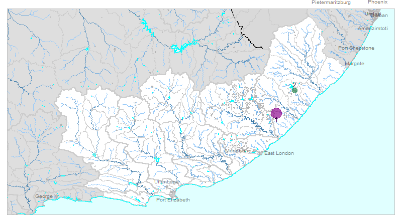 coli_Mzimvubu_Tsitsikamma_NMMP_2016-07-01_2016-08-31_map.png