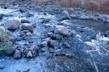 a Kwazulu/Natal river