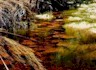 a Western Cape river