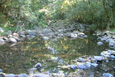 a Eastern Cape river