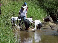 Kids practising with miniSASS at the Botanical Gardens during Riverday