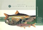 State of the Crocodile River - 1998