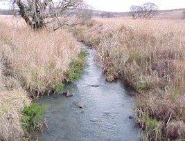 Crocodile River ecoregion 4.01 - Neels Kleynhans
