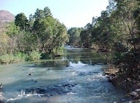 Crocodile River near Montrose - Neels Kleynhans