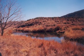 Highveld during winter - Dirk Roux