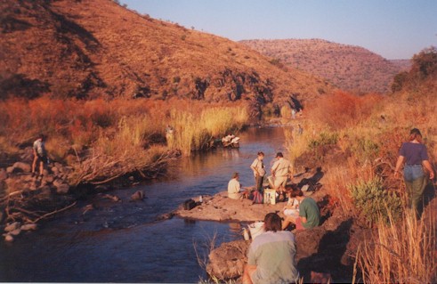 Biomonitoring group at work in the upper reaches of the Olifants River - Dirk Roux