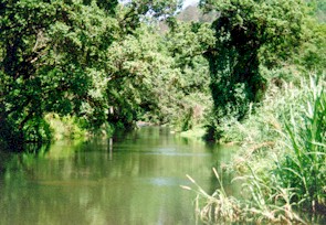 Sabie River downstream of Sabie - Ernita van Wyk